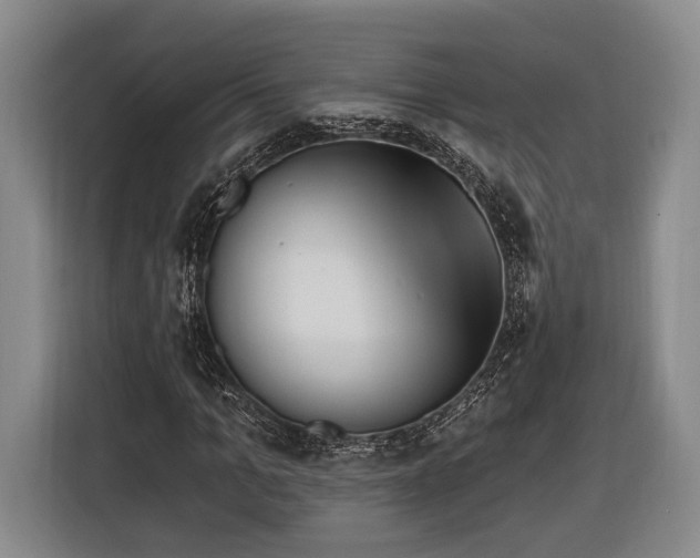 X0000116320965200912091016