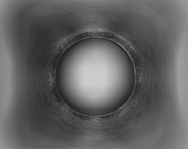 X0000116320966200912091016