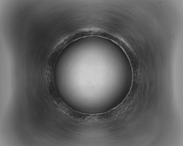 X0000116320967200912091016