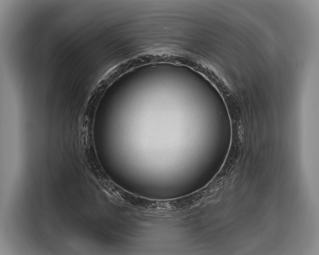 X0000116320968200912091016