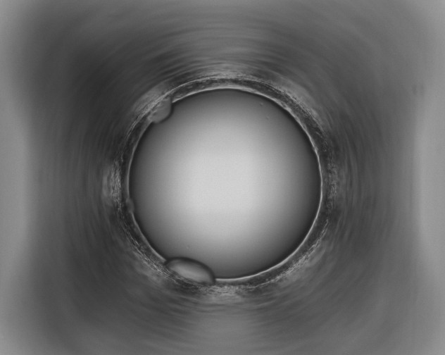 X0000116320969200912091016