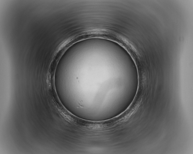 X0000116320970200912091016