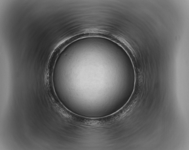 X0000116320971200912091016