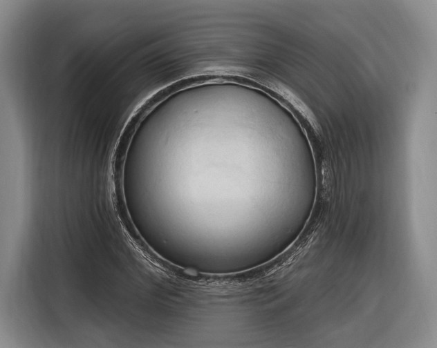 X0000116320972200912091016