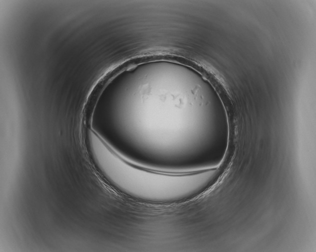 X0000116320973200912091016