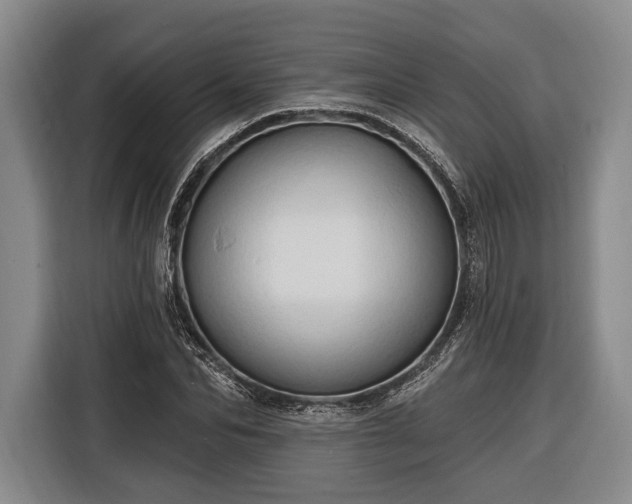 X0000116320974200912091016