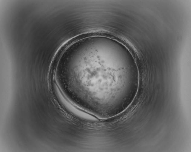 X0000116320975200912091016