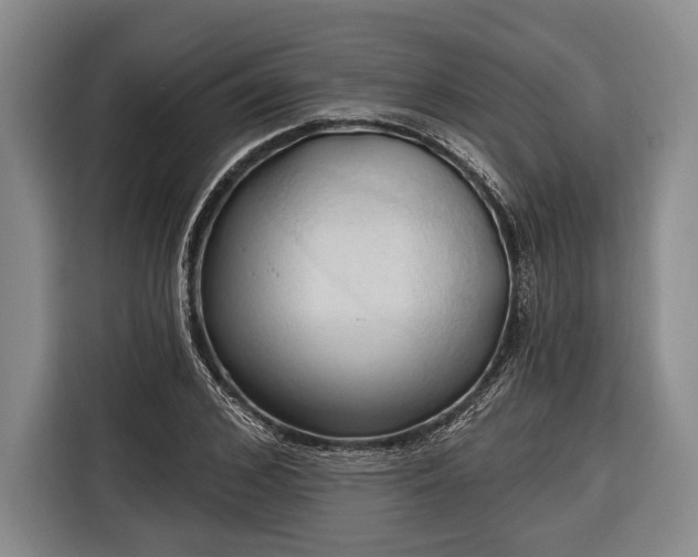 X0000116320976200912091016