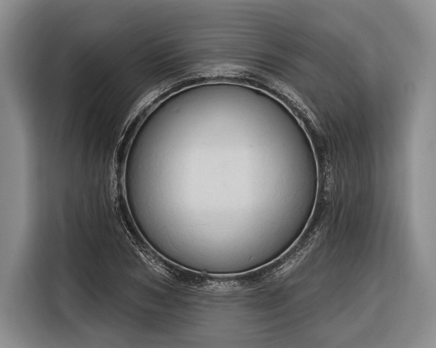 X0000116320978200912091016