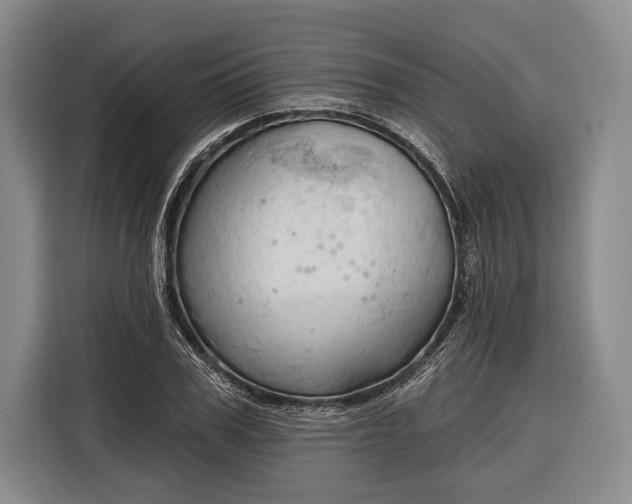 X0000116320979200912091016