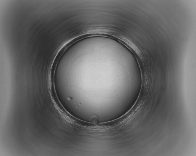 X0000116320980200912091016