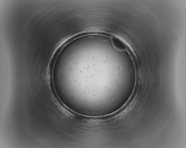 X0000116320981200912091016