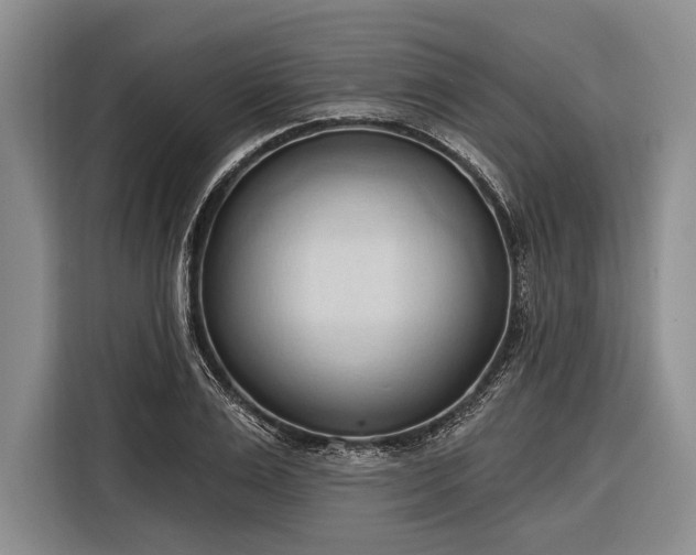 X0000116320983200912091016