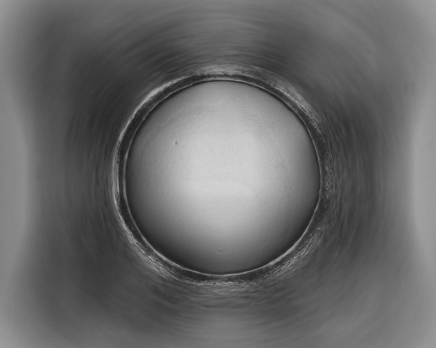 X0000116320984200912091016