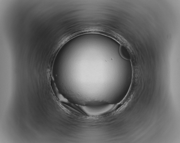 X0000116320985200912091016