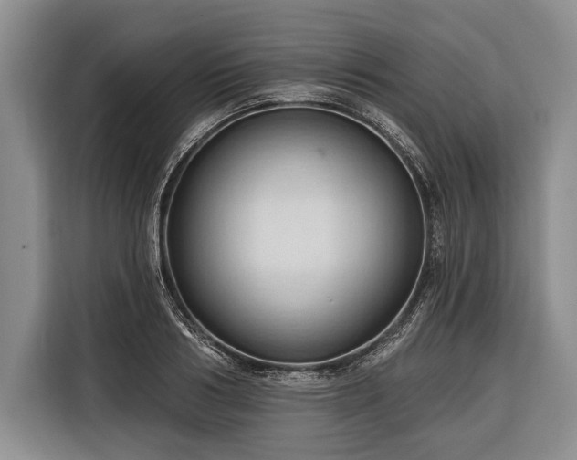 X0000116320986200912091016