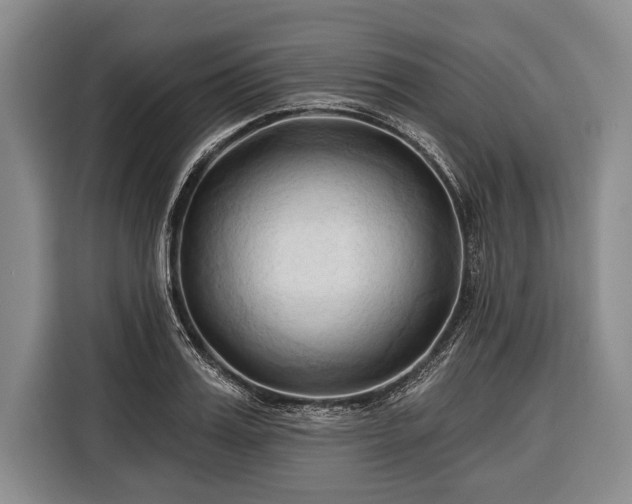 X0000116320987200912091016