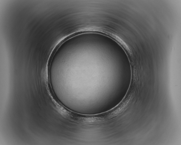 X0000116320988200912091016