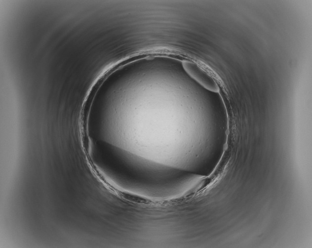 X0000116320989200912091016