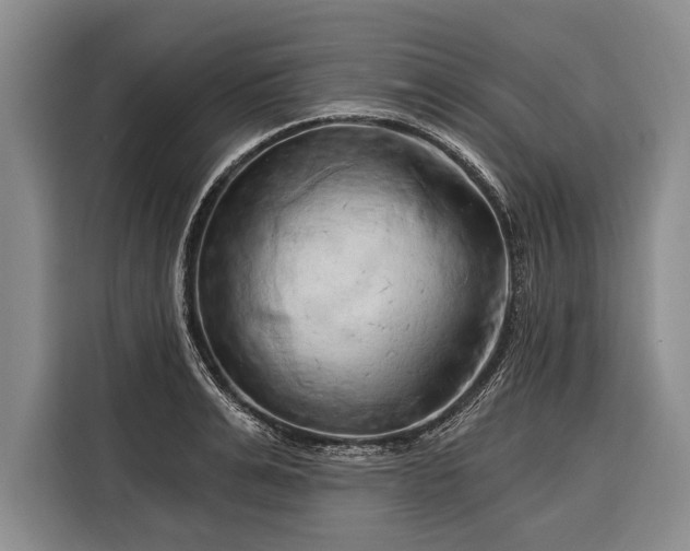 X0000116320991200912091015