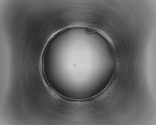 X0000116320996200912091015