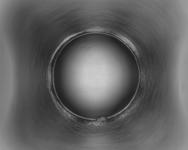 X0000116321000200912091015