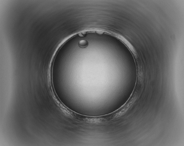 X0000116321004200912091015