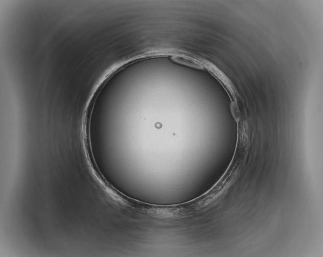 X0000116321005200912091015