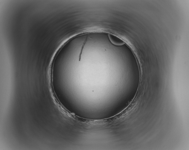 X0000116321008200912091015