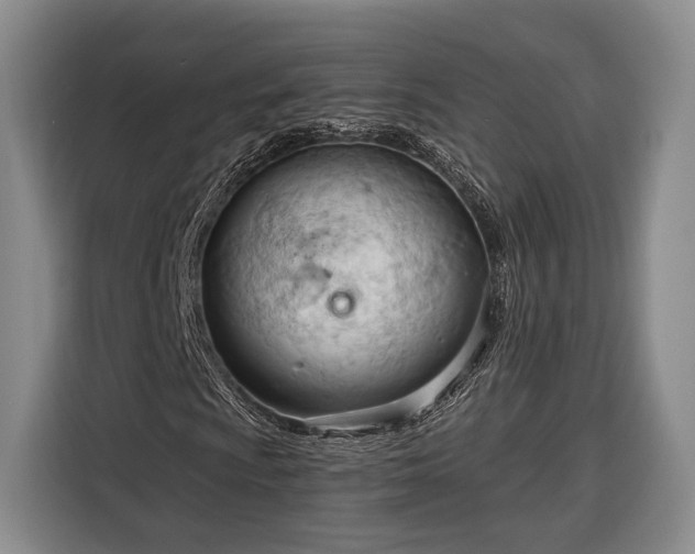 X0000116321009200912091015