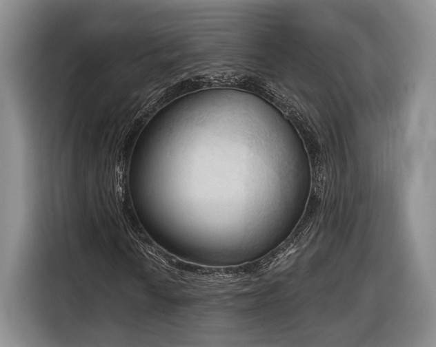 X0000116321010200912091015