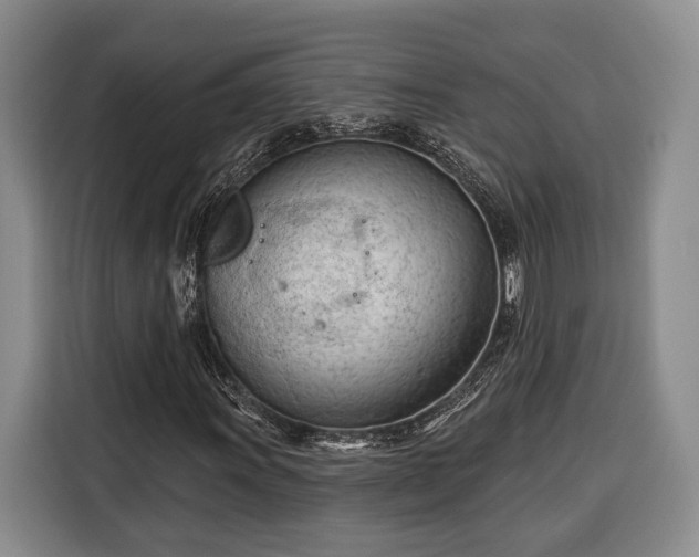 X0000116321011200912091015