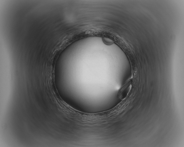 X0000116321012200912091015