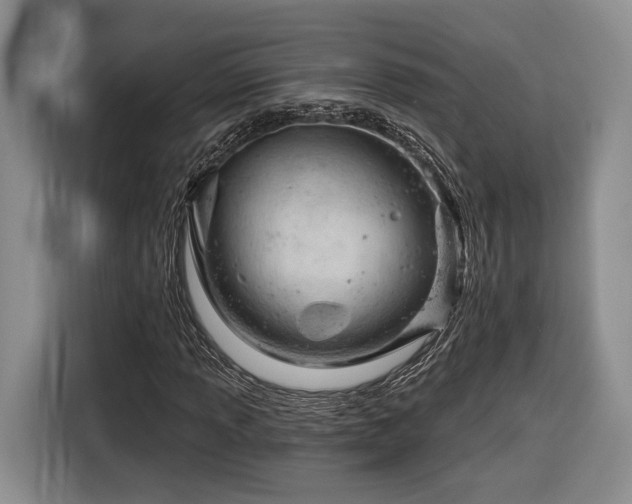 X0000116321013200912091015