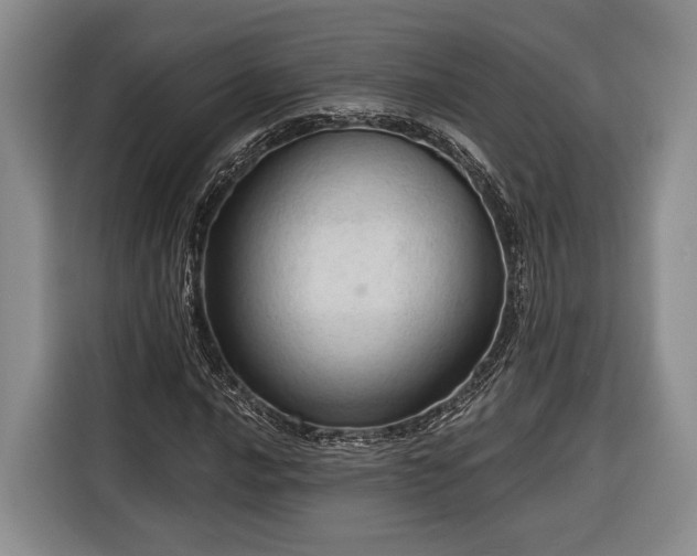 X0000116321016200912091015