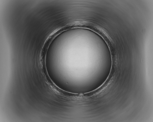 X0000116321018200912091015