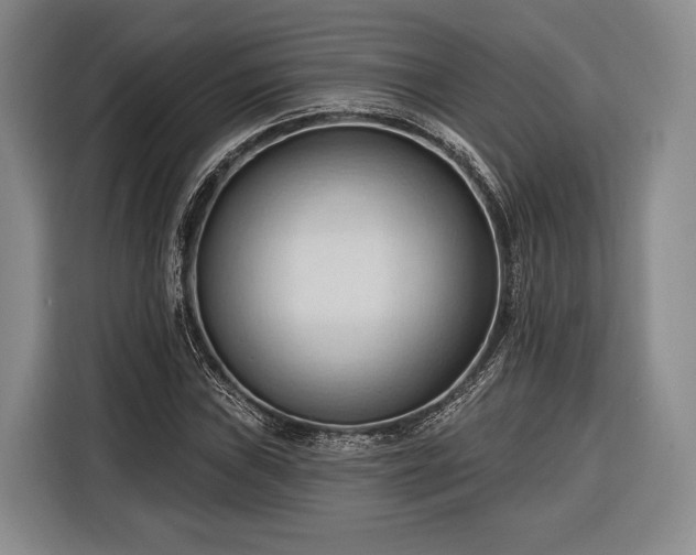 X0000116321019200912091015