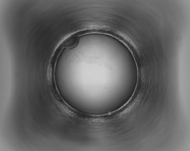 X0000116321021200912091015