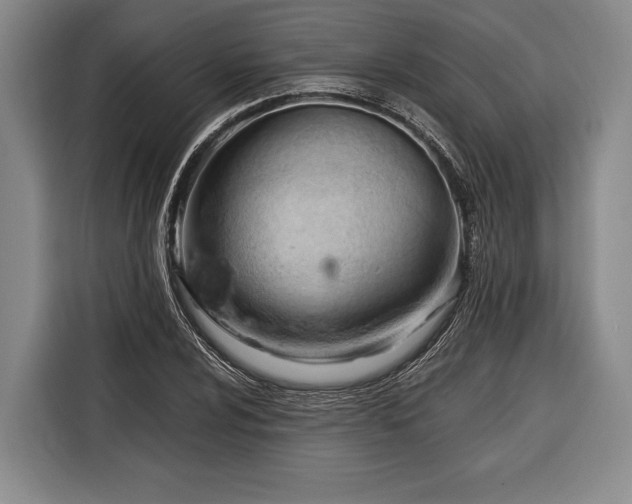 X0000116321024200912091015