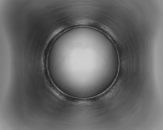 X0000116321026200912091015