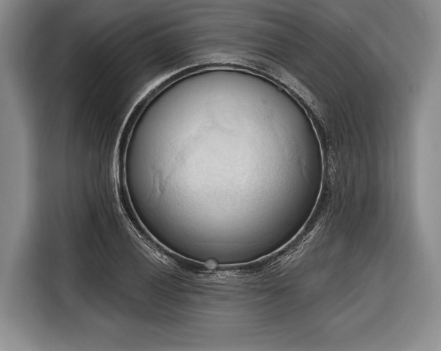 X0000116321028200912091015