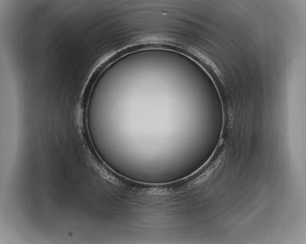 X0000116321029200912091015