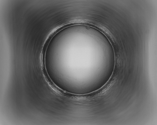 X0000116321030200912091015