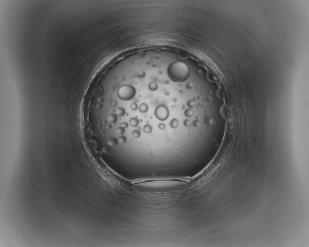 X0000116321031200912091015