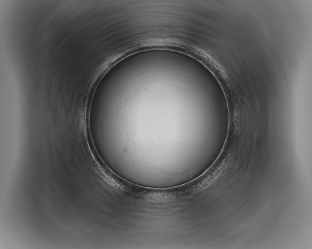 X0000116321033200912091015