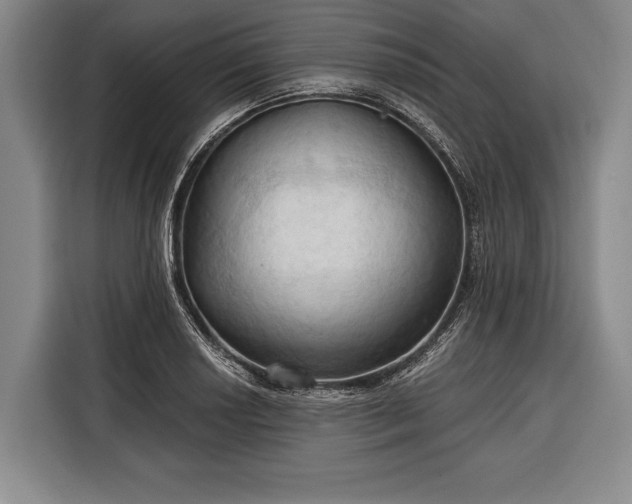 X0000116321034200912091015