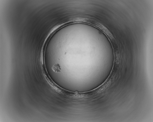 X0000116321036200912091015