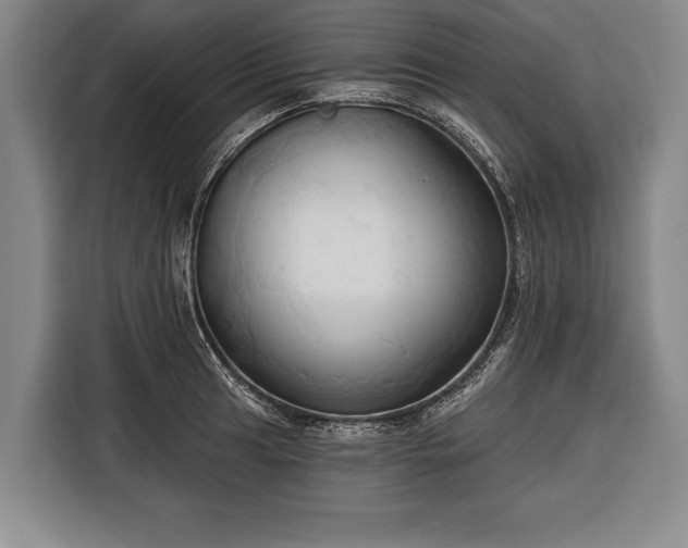 X0000116321041200912091015