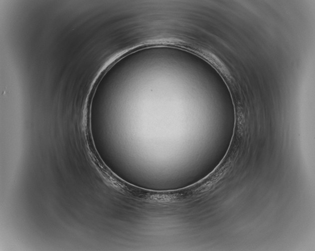 X0000116321044200912091015