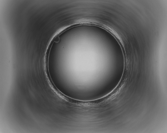 X0000116321045200912091015